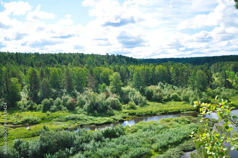 A green forest in the distance, a river and white clouds