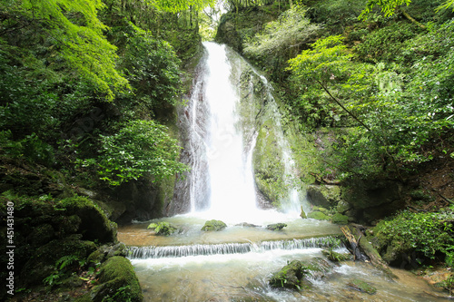 Fototapeta Naklejka Na Ścianę i Meble -  愛媛県内子町　紅葉ヶ滝の風景