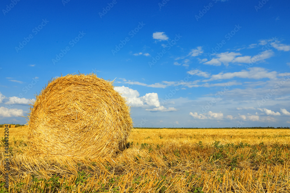 Beautiful view of agricultural field with hay bale Beautiful view of agricultural field with hay bale