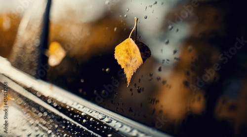 A yellow autumn leaf stuck to the wet car window.