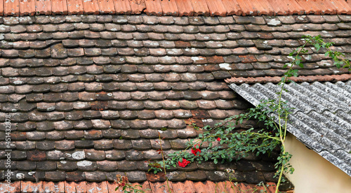 Old rooftop with red bullnose roof tiles photo