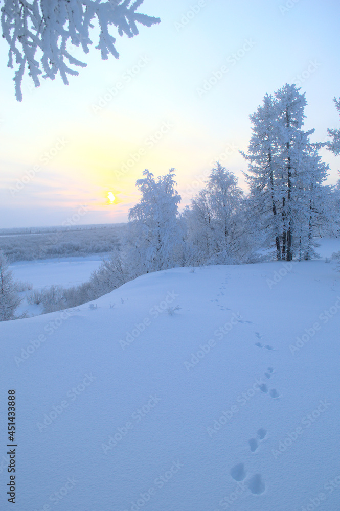 winter landscape in the mountains