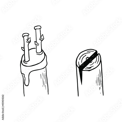 Budding form of grafting. Scion consists of a several buds and small section of bark vector illustration. Outline black and white drawing