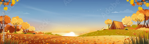 Autumn rural landscape in evening light with sunset, blue and orange sky background,Vector Cartoon fall season at countryside with forest tree and grass field with sunrise,Backdrop natural