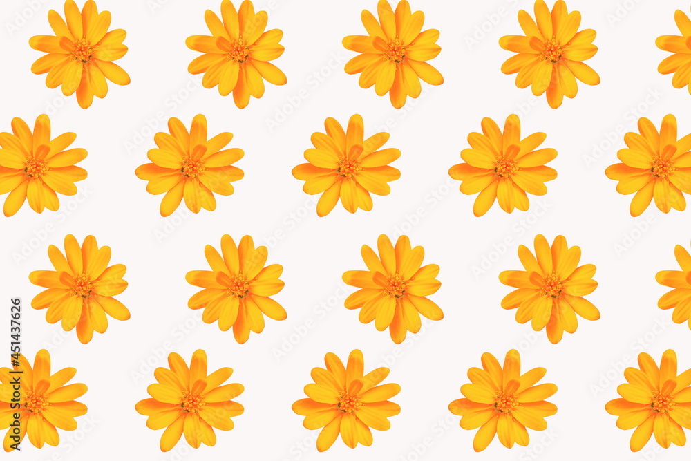 Smooth abstract decorative foliage and floral patterns on a colorful background Smooth abstract decorative foliage and floral patterns on a colorful background