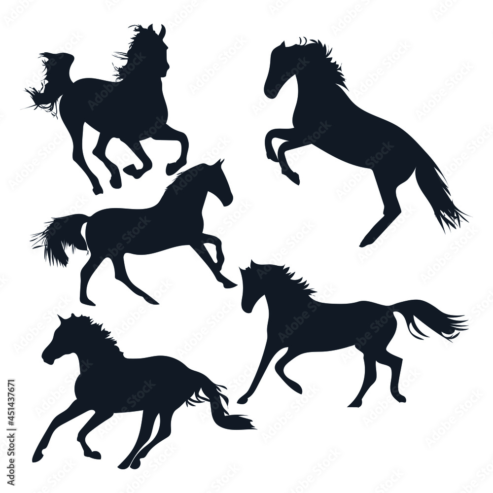 Set of horses silhouette on white background Set of horses silhouette on white background
