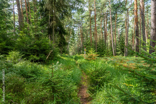 Hiking trail in the Elbe Sandstone Mountains © Holger W. Spieker