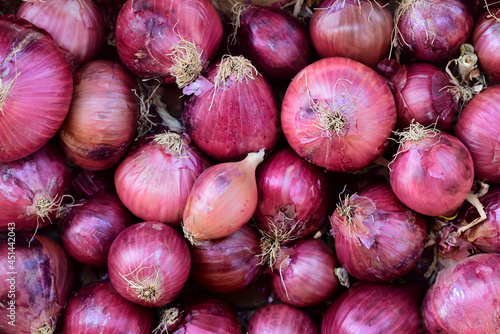 Red ripe onions lie next to each other to form a background