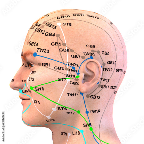 Obraz na plátne Eastern or Asian acupuncture and acupressure points on a male body