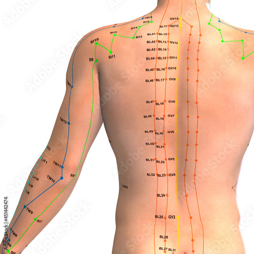 Eastern or Asian acupuncture and acupressure points on a male body photo