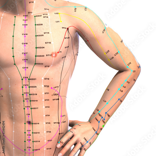 Eastern or Asian acupuncture and acupressure points on a male body photo