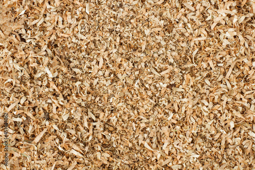 sawdust or shavings of fruit wood as a background or backdrop
