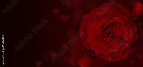 Wide banner with rose and blurred hearts on a dark background, mockup for a romantic banner or flyer. © Yarr