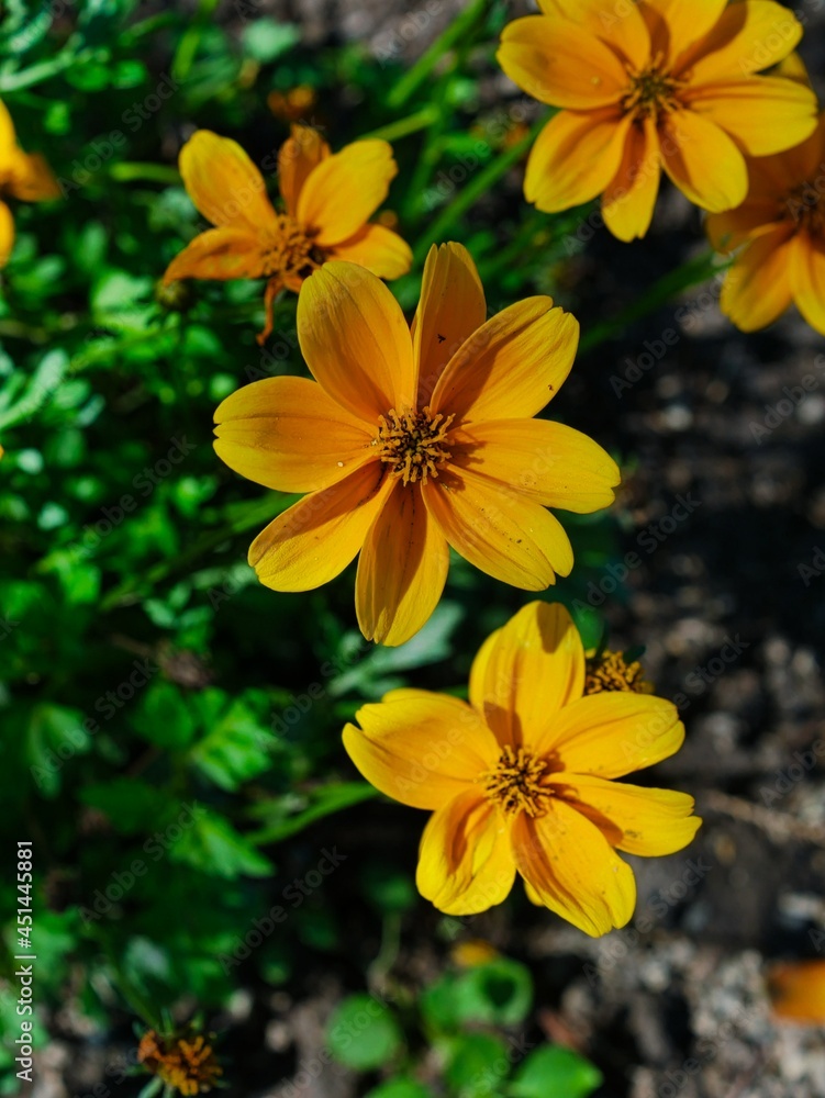 Schönheiten der Natur
