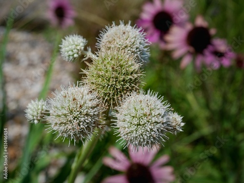 Schönheiten der Natur