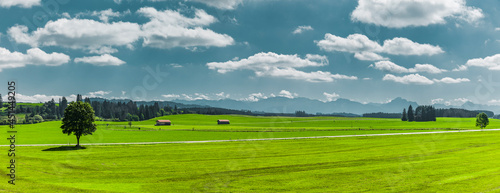 Grüne hügelige Landschaft mit Wald und Wiesen