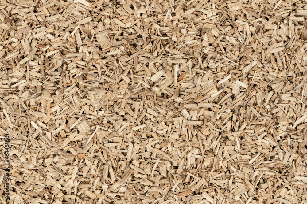 Oak chips sawdust texture. small wood chips for smoking. sawdust background. ecological fuel Oak chips sawdust texture. small wood chips for smoking. sawdust background. ecological fuel