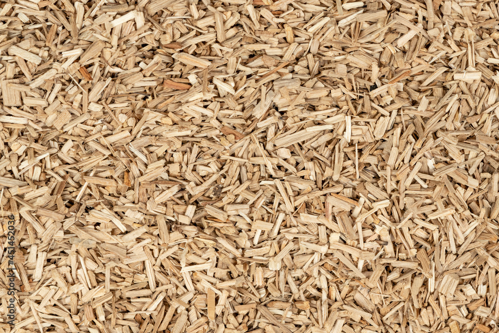 Oak chips sawdust texture. small wood chips for smoking. sawdust background. ecological fuel Oak chips sawdust texture. small wood chips for smoking. sawdust background. ecological fuel