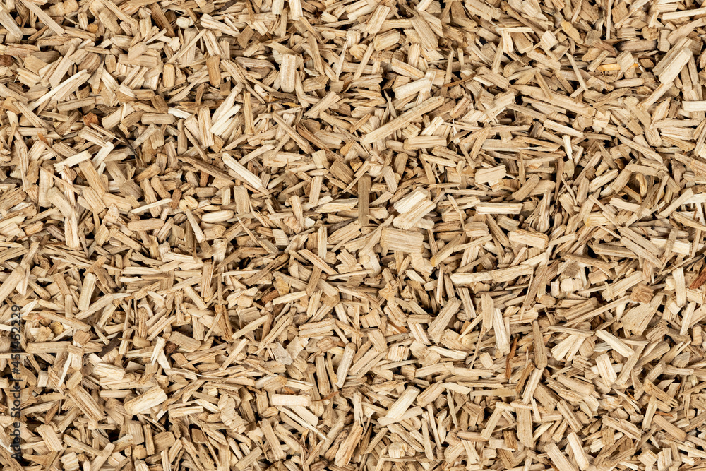 Oak chips sawdust texture. small wood chips for smoking. sawdust background. ecological fuel Oak chips sawdust texture. small wood chips for smoking. sawdust background. ecological fuel