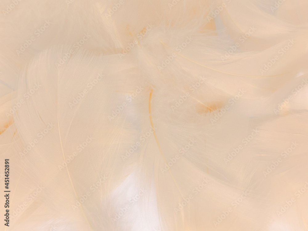 Obraz premium Beautiful abstract white and brown feathers on white background and soft yellow feather texture on white pattern and yellow background, feather background, gold feathers banners, brown texture