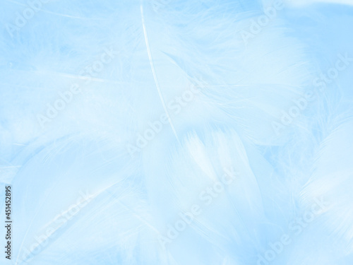 Beautiful abstract blue feathers on white background, white feather texture and blue background, feather wallpaper, blue texture banners, love theme, valentines day, light blue texture, white gradient © Weerayuth