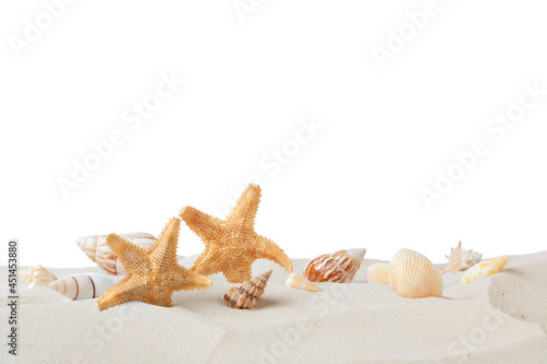 Beautiful sea stars and seashells in sand on white background
