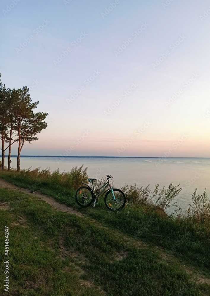 Obraz premium Bicycle in the forest against the backdrop of a beautiful sunset.