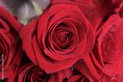 Red roses  bouquet with copy space  dark gray background. Happy holiday concept. Love concept.