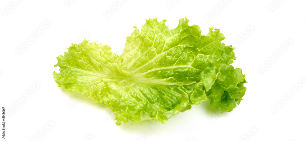 Fresh lettuce salad leaf, isolated on white background. High resolution image. Fresh lettuce salad leaf, isolated on white background. High resolution image.