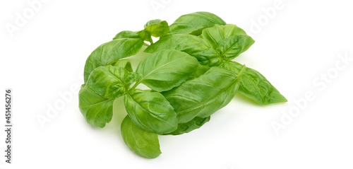 Basil herb, cooking condiments, isolated on white background. High resolution image.