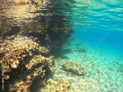 Underwater world of Aegean Sea. Near Marmaris, Turkey