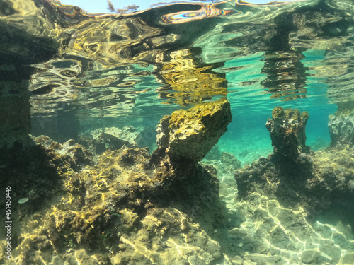 Underwater world of Aegean Sea. Near Marmaris  Turkey
