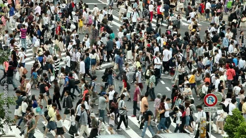 Wallpaper Mural TOKYO - SHIBUYA CROSSWALK Torontodigital.ca