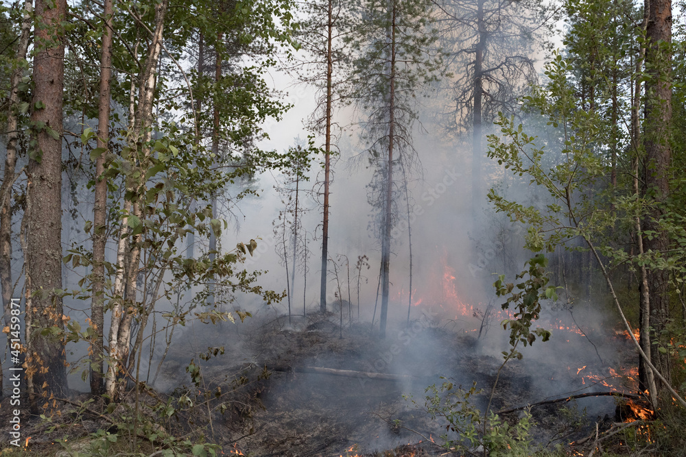 Forest fire in Russia. Fire. Rescuers. Forest. Problems. Burning hell. Fire in Karelia. Forest fire in Russia. Fire. Rescuers. Forest. Problems. Burning hell. Fire in Karelia.