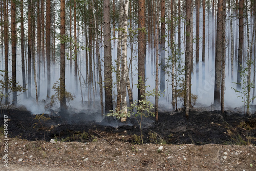 Forest fire in Russia. Fire. Rescuers. Forest. Problems. Burning hell. Fire in Karelia.