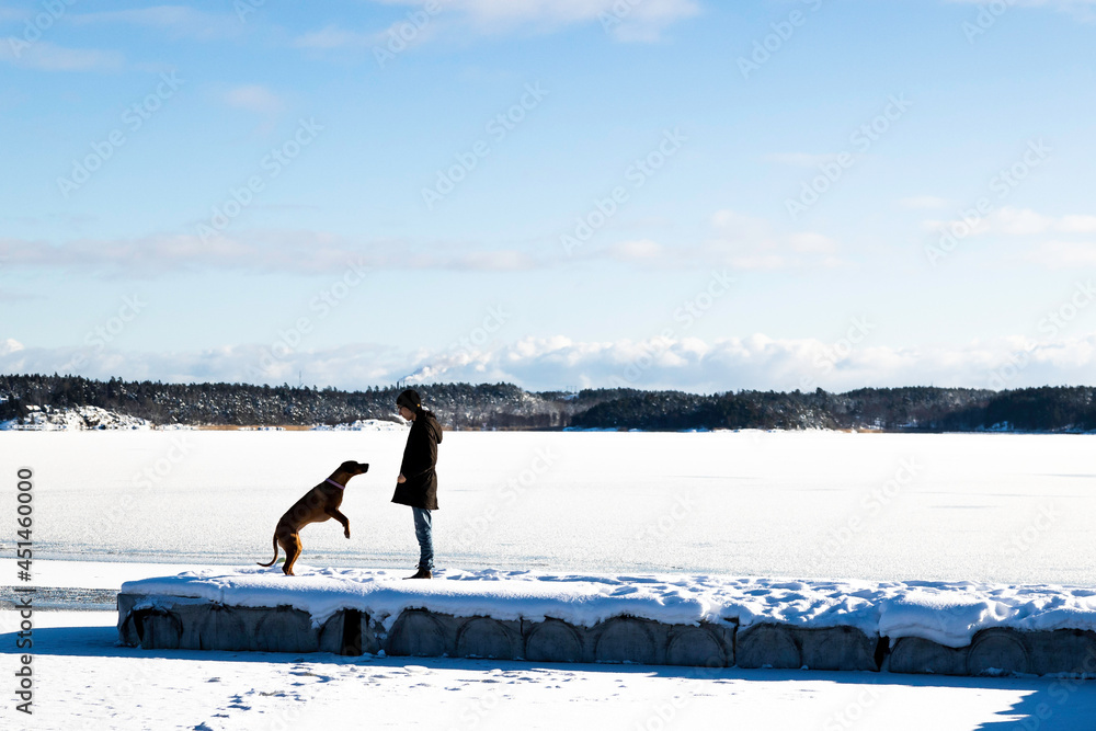 Boy and dog by frozen lake