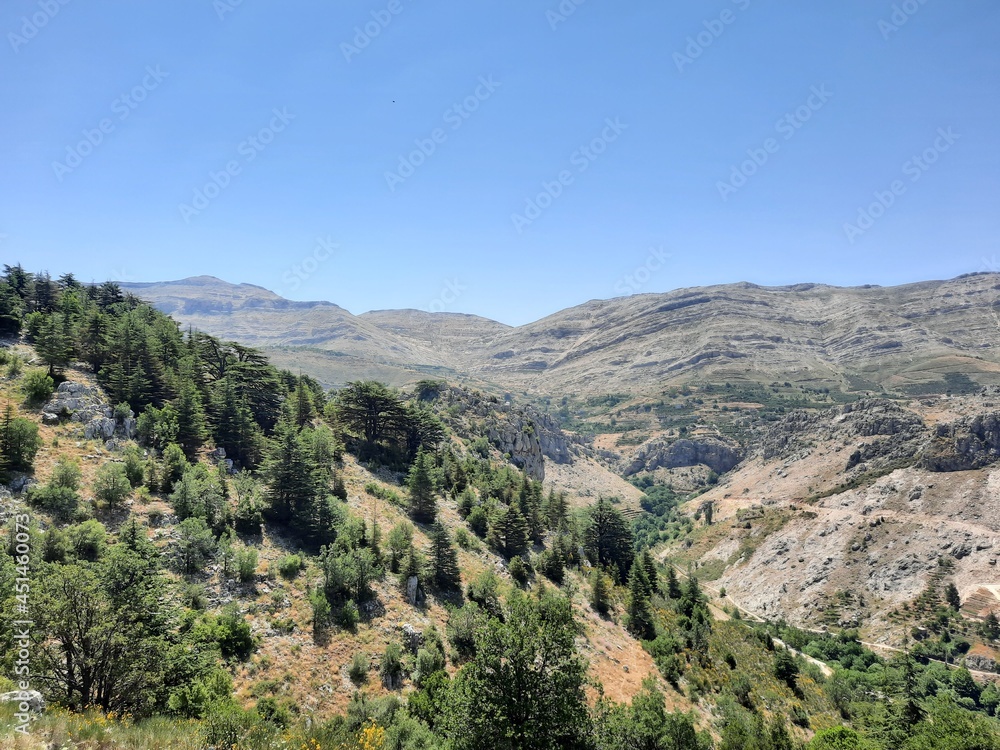 Naklejka premium landscape in the mountains