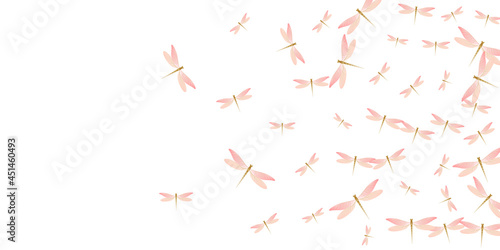 Fairy rosy pink dragonfly cartoon vector illustration. Spring colorful insects. Simple dragonfly cartoon fantasy background. Delicate wings damselflies graphic design. Nature creatures