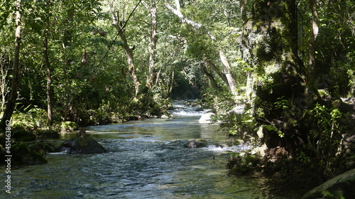 Naturaleza  puente de dios  