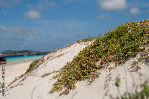 sand dunes on the beach on klien Bonaire photo