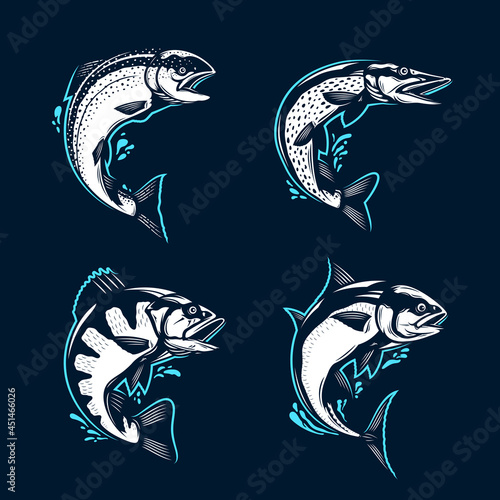 Vector jumping fish illustration with water splashes isolated on a dark background