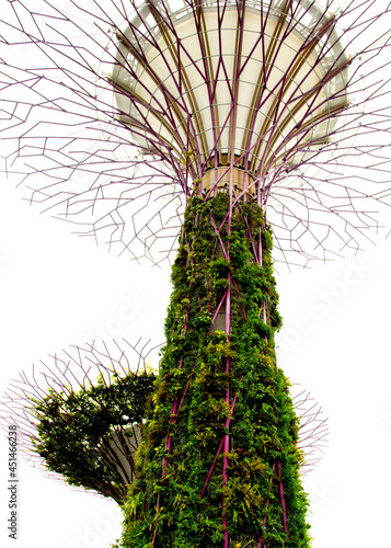 Gardens by the Bay, Singapore