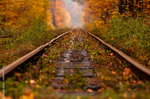 autumn forest among which goes a strange tram