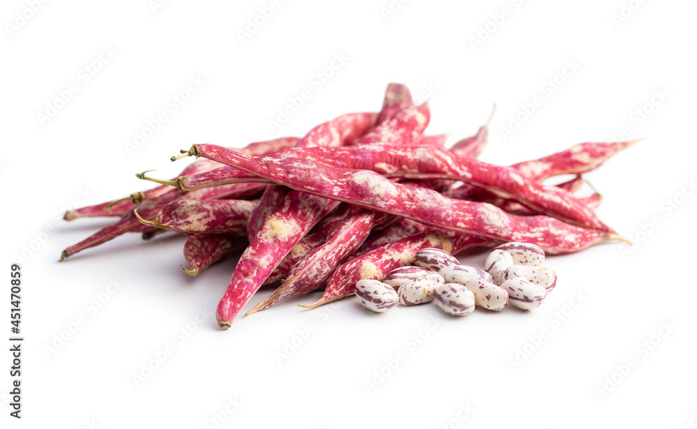Cranberry beans. Beans pods isolated on white background. Cranberry beans. Beans pods isolated on white background.