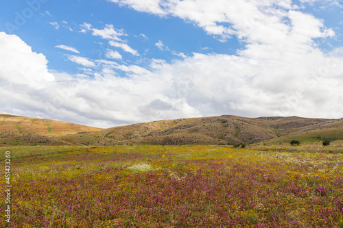 Spectacular view of the wonderful grass mountains within the borders of Kelkit, Gumushane photo