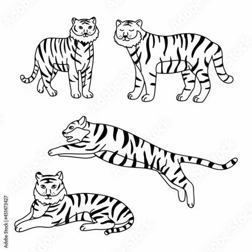 Set of big tigers. Collection of portraits of predatory wild cats. Set of wildlife and fauna dwellers. Black and white vector illustration on a white background. 
