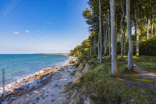 Baltic Sea Bech Heligendamm