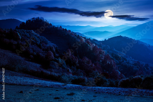 mountain scenery in autumn at night. forest in colorful foliage on the hills. distant range beneath a sky with beautiful clouds. wonderful carpathian countryside nature landscape in full moon light © Pellinni
