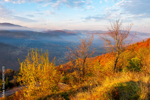 autumnal scenery with fog in the valley at sunrise. mountain landscape in morning light. trees in colorful foliage on the hill. wonderful sunny weather with clouds on the sky