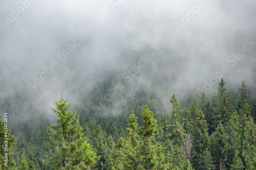 Morning fog in the mountains Beautiful summer landscape © onyx124